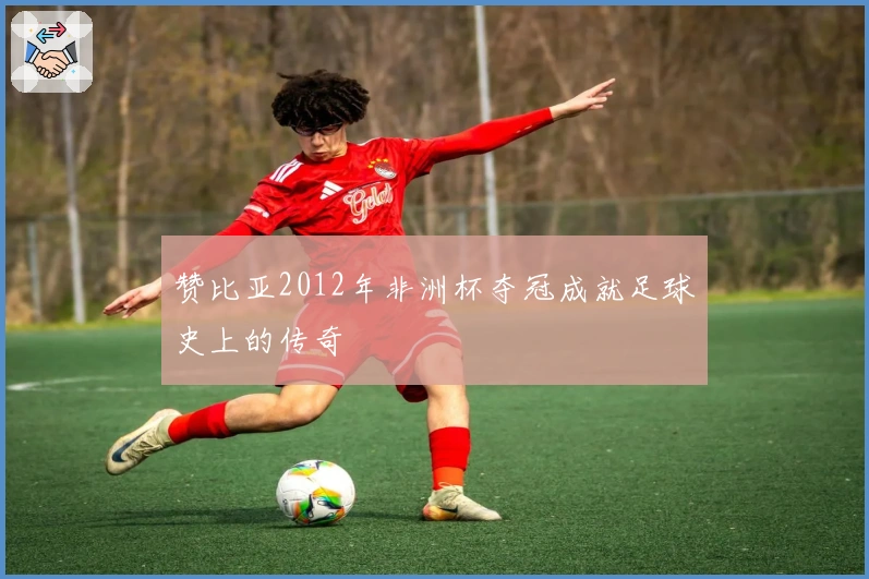 赞比亚2012年非洲杯夺冠成就足球史上的传奇