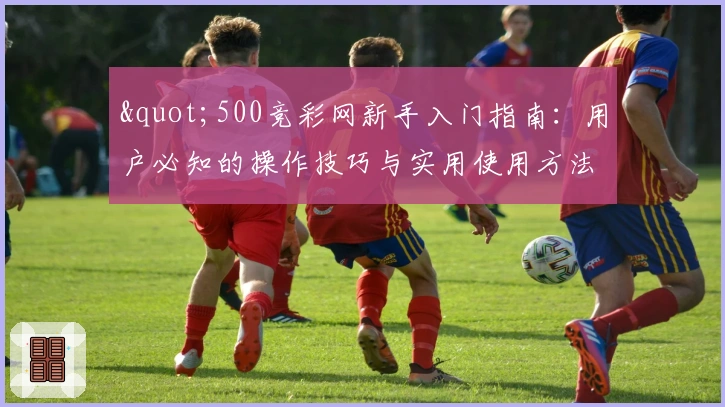 "500竞彩网新手入门指南：用户必知的操作技巧与实用使用方法"