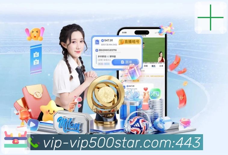 回测工具